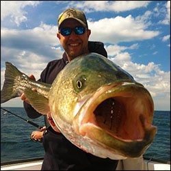 Captain Brett Wilson with a beautiful Cape Cod Bay striped bass