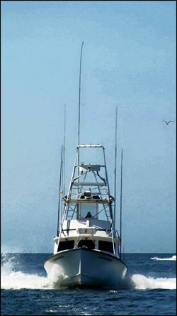 The Hindsight steaming home after a great day of fishing on Cape Cod Bay